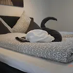 فرينفونينغ ميسيتا شقة