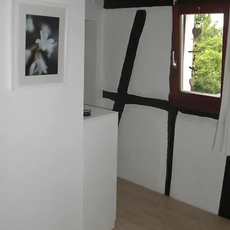 米斯塔公寓 鲁斯特